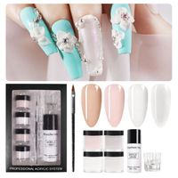 Wholesale Nail Art Kits Acrylic Powder Set Liquid Monomer Manicure With Brush Tool For DIY Extension Fast Delivery