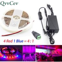 Wholesale Grow Lights Qvvcev M M M Waterproof Plant Led Lamp Strip Light Indoor Greenhouse Red Blue V A A Power Supply Switch T