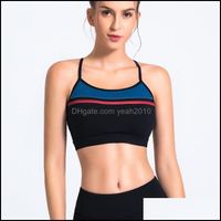 Wholesale Gym Exercise Wear Outdoor Apparel Sports Outdoorsgym Clothing Cooling Summer Seamless Sport Bra Fitness Athletic Running Vest Tops Underwe