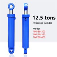 Wholesale Power Tool Sets Hydraulic Cylinder MPA Tonnage Heavy Duty Two way Lifting Oil Pressure Top Accessories