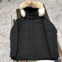 Wholesale NEW Top Men s Wyndham Winter Jacket Arctic Coat Down Parka Hoodie With Fur Sale Sweden Homme Doudoune Manteau