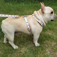 Wholesale Classic Leather Dog Leashes England Style Fashion Puppy Leash for French Bulldog Corgi Schnauzer Pomeranian