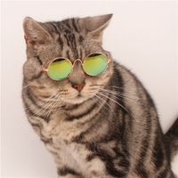 Wholesale Pet Products Lovely Vintage Round Cat Sunglasses Reflection Eye wear glasses For Small Dog Cat Pet Photos Props Accessories