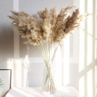 Wholesale Decorative Flowers Wreaths Natural Dried Bouquet Wedding Home Easter Decorations Tail Grass Real Boho Decoration Bedroom