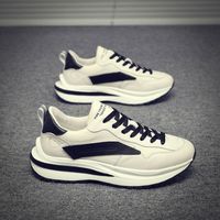 Wholesale Mens Shoes Autumn and Winter New Korean Style Casual Shoes Thick Sole Height Increasing Trendy All Matching Sneakers Mens Fashionable L