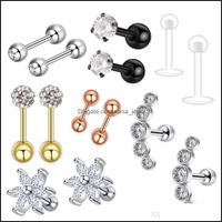 Wholesale Plugs Tunnels Body Jewelry Piercing G Stainless Cartilage Tragus Earrings Stud Cz Barbell Set Women Plug Tunnel Drop Delivery
