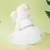 Wholesale Dog Apparel Clothes For Small Dogs White Wedding Dress Little Princess Skirt Fluffy Winter