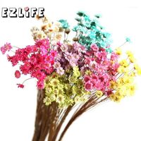 Wholesale 30pcs Natural Brazil Daisy Dried Flower Vial Glass Bottle Decorative Filler Materials Home Decoration Accessories WED25321