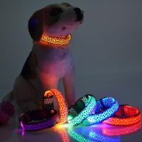 Wholesale Dog Collars Leashes QuevinAdjustable USB Charging LED Leopard Print For Pet Cat Nylon Ribbon Night Safety Flashing Glow Electric