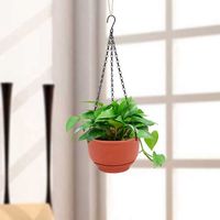 Wholesale HGHO Packs Hanging Planter Self Watering Basket Hanging Flower Pot with Detachable Base for Garden Inches Y0910