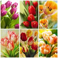 Wholesale Huacan D DIY Diamond Painting Tulip Diamond Embroidery Complete Kit Flower Mosaic Cross Stitch Modular Pictures Home Decoration