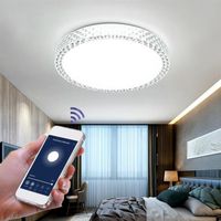 Wholesale Smart Modern Ceiling Light Wifi Voice Control Suitable For Living Room Bedroom Kitchen Work With Google Home Amazon Alexa IFTCeiling Lights