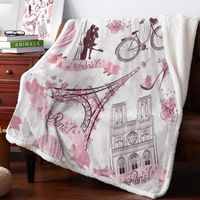 Wholesale Blankets Pink Eiffel Tower High Heels Flower Air Balloon Bicycle Lamb Flannel Blanket Cashmere Sherpa Throw Bed Bedspread