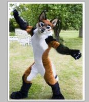 Wholesale 2019 Hot Long Fur Fursuit Brown Husky Dog Mascot Costume Wolf Fox Suit Halloween Parade
