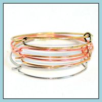 Wholesale Bangle Bracelets Jewelry Fashion Diy Women Expandable Wire For Beading Or Charm Making Supplies In Bk Drop Delivery Qrt0O