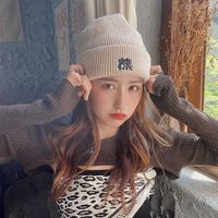 Wholesale autumn and winter Plush warm words Wool Hat Women s versatile Designer Pullover knitted thickened ear protection cold