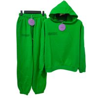 Wholesale PANGAIA Pure cotton Thin Spring and Summer Fabric Hooded Sweatshirts Hoodies Track Pants Women clothes Tracksuits Two Piece Sets