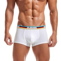 Wholesale Underpants Boxershort Panties Man Boxers Comfort Modal Underwear Cotton Boxer Gay Spandex Men