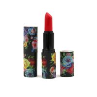 Wholesale Pro Lipstick Rouge a Levres Balm Girls High End Lipsticks Hour Long Last Velvet Frost Products Beautiful Cosmetics Make Up Lip Stick