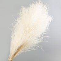 Wholesale 10pcs Artificial Reed Dried Flower Bouquet Wedding Home Decoration Party Display Fake Grass Arrangement Accessories1