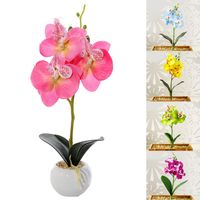 Wholesale Simulation Small Butterfly Orchid Fake Flower Mini Silk For Year Home Wedding Decoration DIY Artificial Phalaenopsis Decorative Flowers Wr