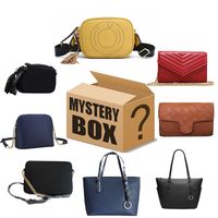 Wholesale Christmas Blind bag Luxury Purse Designer Bags belts Lucky Boxs One Random Mystery Gift for Holidays Birthday Value handbag Holders bagi