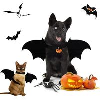 Wholesale Cat Costumes Dog Halloween Cosplay Costume Black Bat Wings Funny Party Dress Up Decorations Supplies Pet Accessories