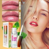 Wholesale Lip Gloss Ginger And Mint Plant Plumping Oil Moistur Plumper Care Serum Extreme Fuller Heathly Enhancer ml
