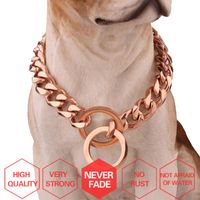 Wholesale Tisnium mm Small Medium Large Dog Leashes Collar Choker Slide Adjustment Size Pet Supplies Safety Training Rope Chains