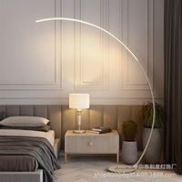 Wholesale Floor Lamps Modern Led Rgb Lamp Indoor Aluminum Creative Fishing Light Living Room Stepless Dimming Switch Decoration Chambre C