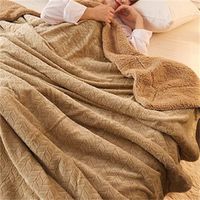 Wholesale Luxury Cashmere Blanket Winter Thick Double Layer Sherpa Throw x200cm Warm Comfortable Weighted Flannel Fleece Blanket R2