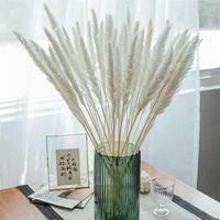 Wholesale Reed Small Decorative Dried Flowers Romantic Branch Reeds Cafe Decorate Home Party Wedding Supplies White Pink lj Q2