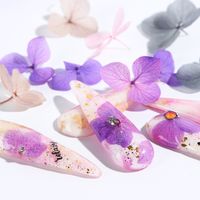 Wholesale Perfections1Set Mix Dried Flowers On Nails Natural Colorful Petal Leaves Nail Art Decoration Polish D Stickers Manicure Accessories NL1505