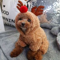 Wholesale Lovely New Year Christmas Pet Dog Costumes Winter Fashion Cute Cats Products For Trajes Para Gatos Pets Costume JJ60JSBY