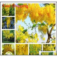Wholesale Other Supplies Patio Lawn Home Drop Delivery Golden Yellow Seeds Rare Purple Bonsai Wisteria Tree Indoor Outdoor Ornamental Plant