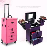 Wholesale Nail Tattoo Rolling Luggage Girl Multi Function Trolley Suitcase Women High Capacity Makeup Toolbox Cosmetic Case On Wheels Bags Cases