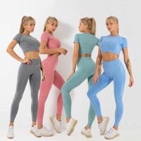 Wholesale 2019 Gym Tights Seamless Tummy Control Women Seamless Workout Sets Pieces Outfits Sport Leggings Purple Yoga Pants Women X0628