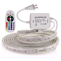 Wholesale Led Strips M M V V High Voltage SMD RGB Led Strips Lights Waterproof IR Remote Control Power Supply