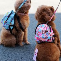 Wholesale Dog Apparel Cartoon Small Backpack Cute Pet Animal Carrier Chest Harness School Bags Leash For Puppies Little Medium Breeds Cat Products