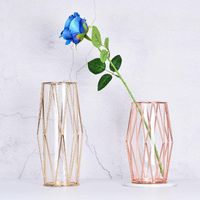 Wholesale Glass Vases Flower Pot Gold Bottles Wrought Iron Crafts Decoration Geometric Shape Vase Tabletop Decor Arrangement