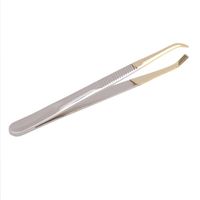 Wholesale Eyebrow Tools Stencils Tweezer Stainless Steel Slant Tip Eyes Clip For Face Hair Removal Make Up Pince