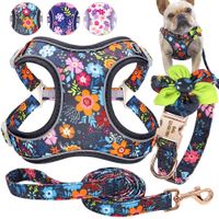 Wholesale Personalized Printed Customized Collar French Bulldog Leash Pet Harness for Small Dogs Pug