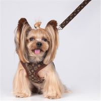 Wholesale classic letter pattern Dog Apparel high quality fashion pet clothing leashes spring vest