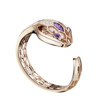 Wholesale Senior Ladies Watch Designer Classic Animal graphics machinery luxury jewelry bracelet diving high quality Star Diamond