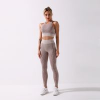 Wholesale Women s Tracksuits Sweaters shark seamls Yoga suit snake sports pants fitns bra