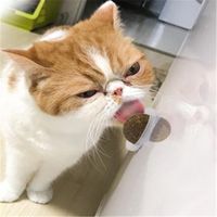 Wholesale Cat Toys Natural Toy Sugar Catnip Ball With Cover Spewing Hair Vitamin Supplement Kitten Pet Edible Treating Cleaning Teeth Products