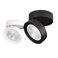 Wholesale Ceiling Lights COB LED Surface Mounted Light Fixture Pan And Tilt Adjustable Lamp El