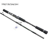 Wholesale Pro Bomesh Set m Full Fuji Components Section Swirl Sanded Carbon Boat Rod Fishing Pole Guide Reel Seat Rods