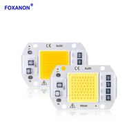 Wholesale Bulbs Foxanon COB Chip Light High Power W W W White Warm White Smart IC LED Bulb Lamp For DIY Outdoor Diode Floodlight Spotlight