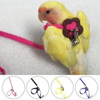 Wholesale Other Bird Supplies Anti bite Flying Training Rope Parrot Hamster Tortoise Lizard Traction Ultralight Harness Leash Portable Pet Plaything